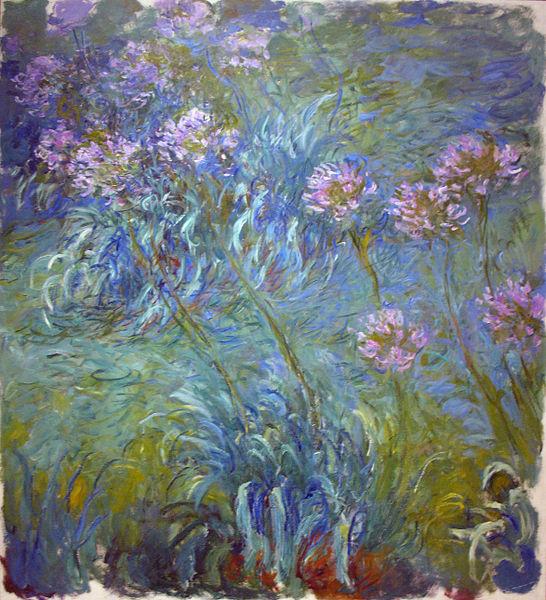 Claude Monet Agapanthus oil painting image